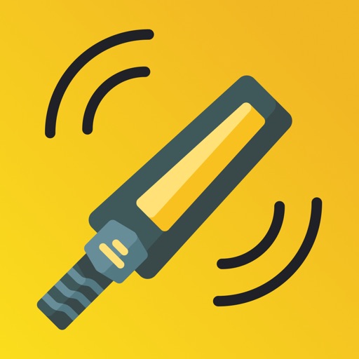 Stud Finder EMF Detector