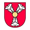 Harrachov icon