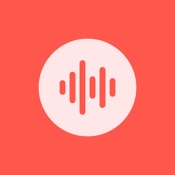 Audio Transcriber AI