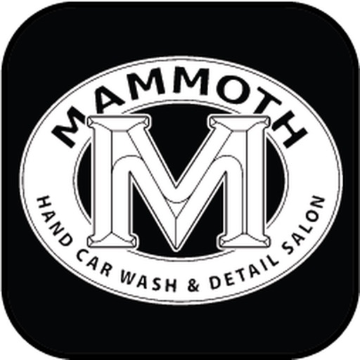 Mammoth Detail Salons