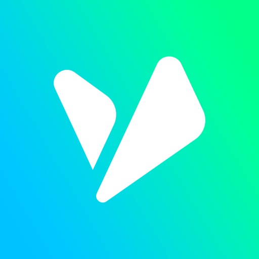 Vite Multi-token Wallet