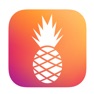 Get Hawaiian Bros for iOS, iPhone, iPad Aso Report