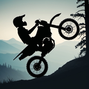 Dirt bike стант на мотоцикле