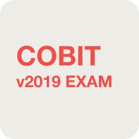 COBIT v2019 Exam 2025