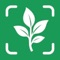 Plantia is your intelligent plant care assistant