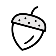 Notion Widget