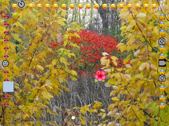 Emofoto iPad screenshot 4 - Photo & Video app