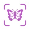 Insect Identifier Picture icon