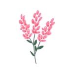 Huishoudboekje & Budget Fleur