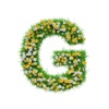 Green Shym Доставка в Шымкенте icon