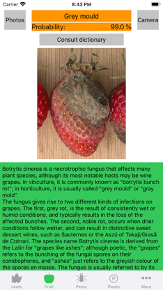 Plant diseases and pests screenshot 2