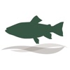 Hollow Brook Wealth Management icon