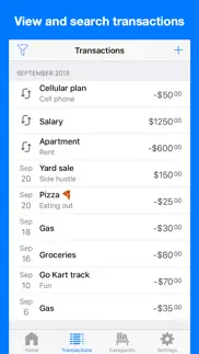 cash flow planner iphone screenshot 2