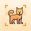Dog Breed Identifier with AI icon