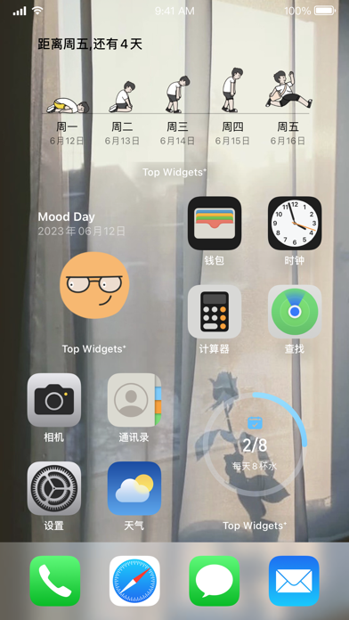 Top Widgets⁺ - 万能小组件灵动岛手机桌面主题のおすすめ画像3