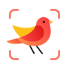 Picture Bird: Sound identifier - Next Vision Limited