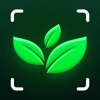 Plant Identifier - NatureID icon
