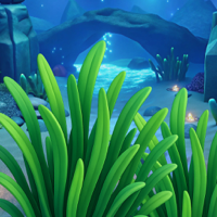 CHKN ROADBrave Chicken