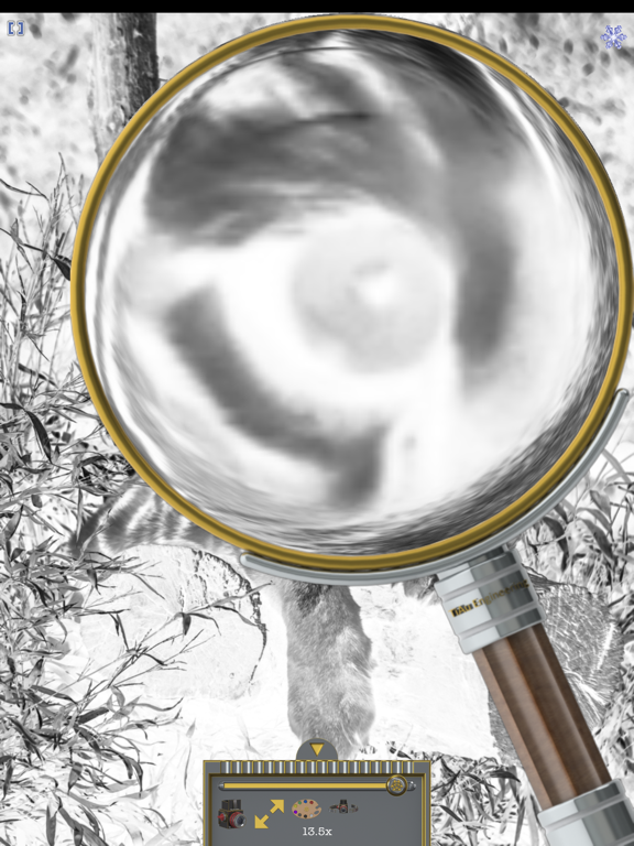 Magnifier (TiAu) iPad screenshot