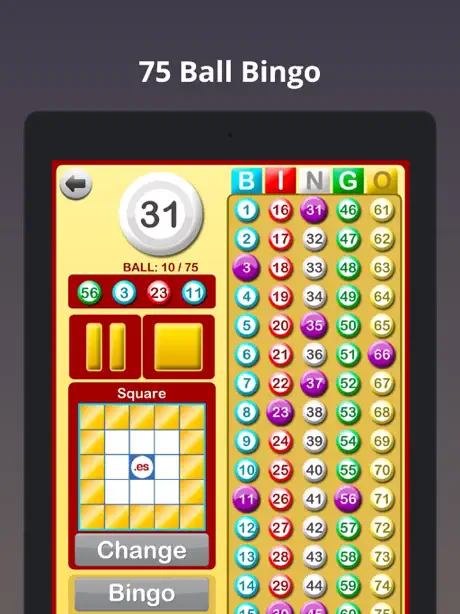 Bingo at Home
