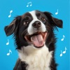 Talking Pet AI: Cat & Dog Talk icon