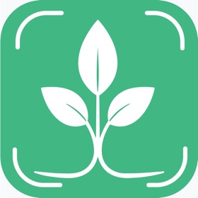 Tree Identifier And Diagnosis