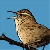 Nature Notes icon