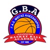Megas basket icon