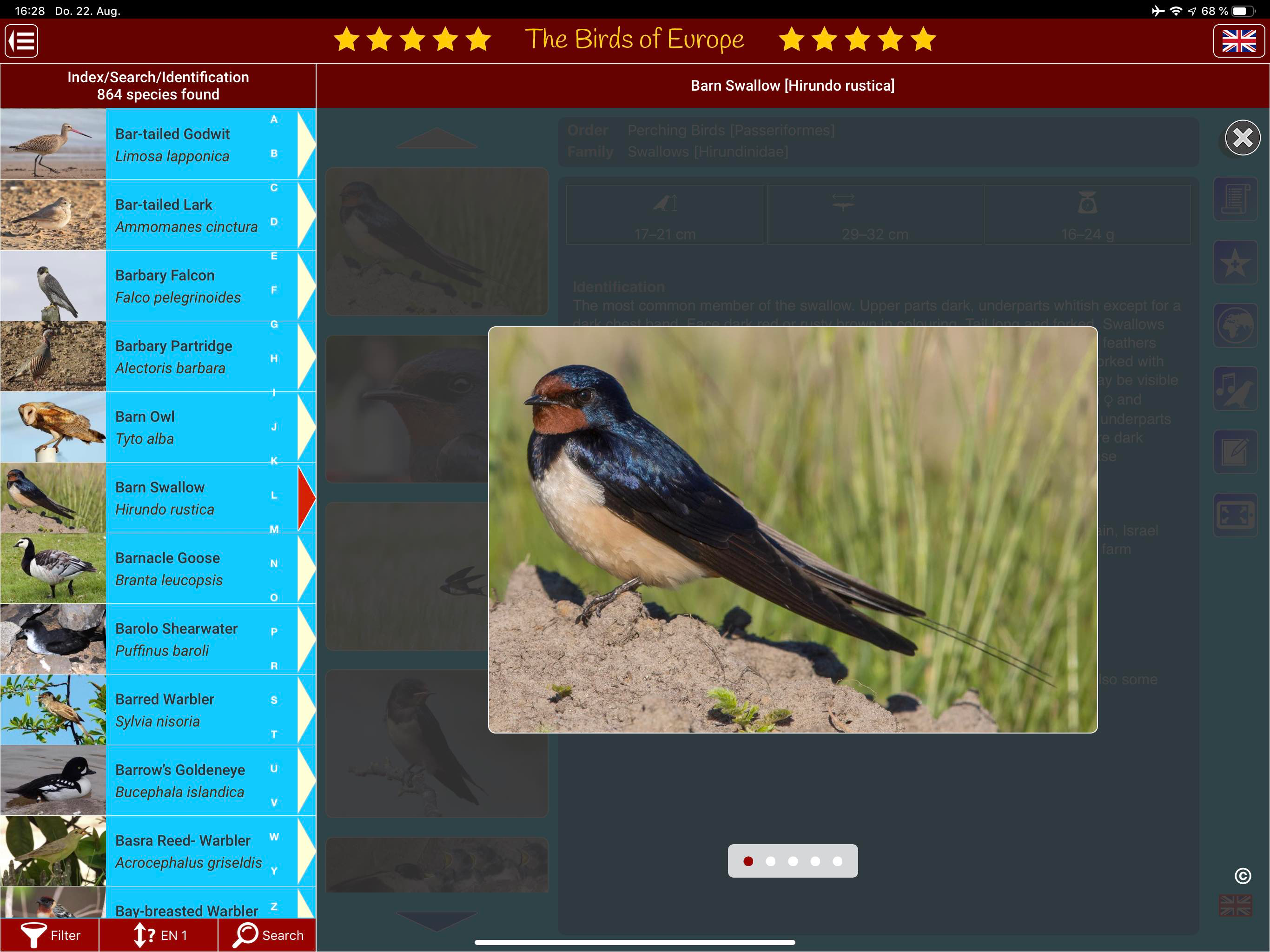 Birds of Europe screenshot 18