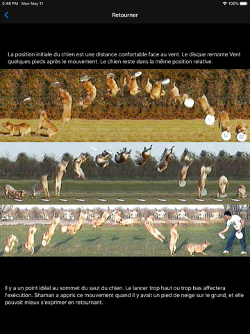 Screenshot #5 pour Chien, disque et vent