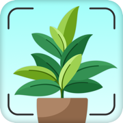 Leaf Identification - Plantix