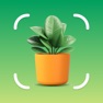 Get Plant Identifier - Plant App for iOS, iPhone, iPad Aso Report