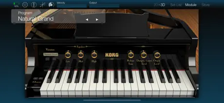 KORG Module