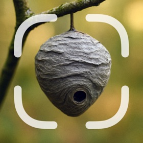 Nest Identifier