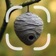 Nest Identifier app icon - Education app for iPhone