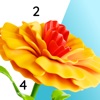 Harmony Color icon