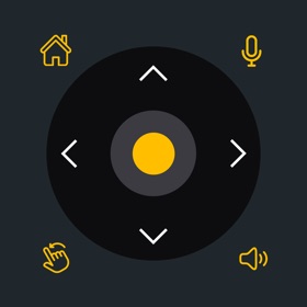 Universal TV Remote Control