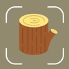 Wood Identifier: Lumber AI icon