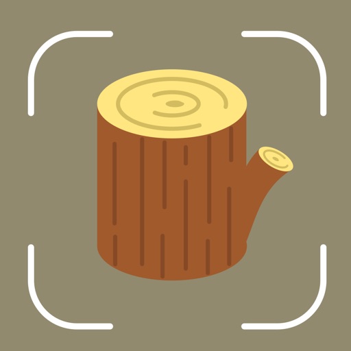 Wood Identifier: Lumber AI