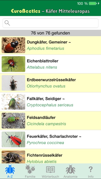 EuroBeetles Screenshot