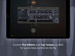 Spring Reverb iPad image 4