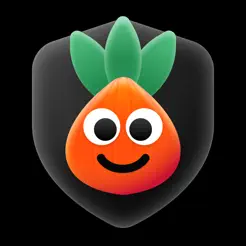 Buddy Onion: Tor Browser & VPN