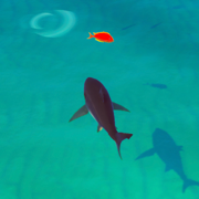 Idle Shark RPG Universe