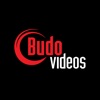 Budovideos, inc. icon