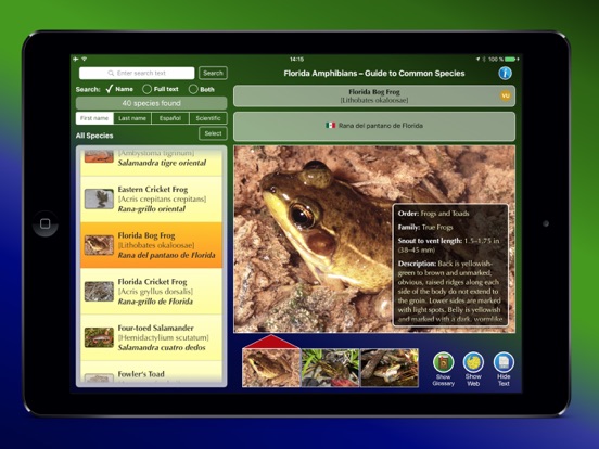 Screenshot #5 pour Florida Amphibians