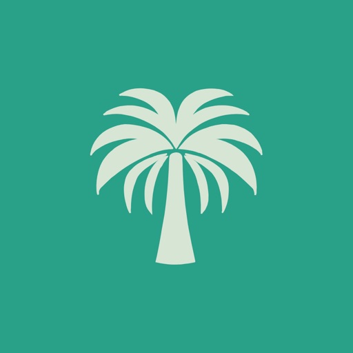 Palmier: plan your trip