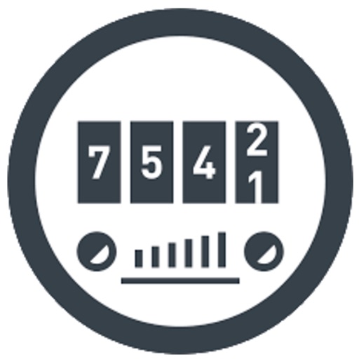 Lease Mileage Monitor