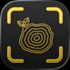 Wood Scanner AI ◦ TimberScan icon