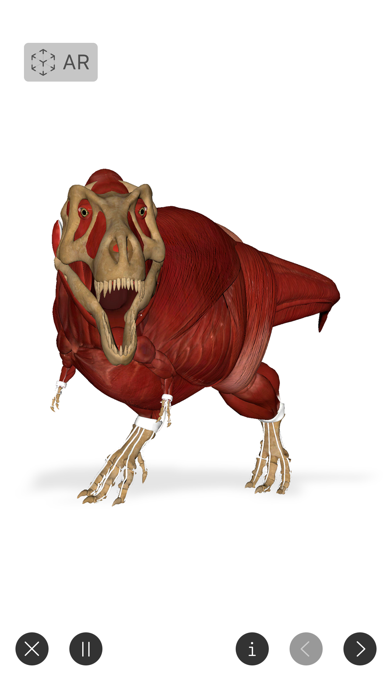 World of Dinosaurs - AR Dinos Screenshot