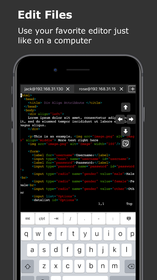 #2. Vibe SSH Terminal (iOS) 作者: 婉媚 邵